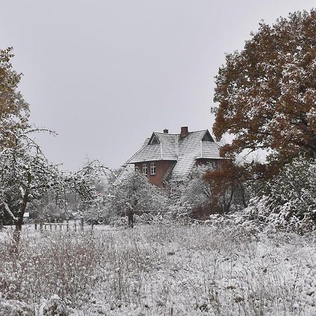 Ferienwohnung Ehemalige Revierfoersterei "Uns Luett" Kuhstorf Exterior foto