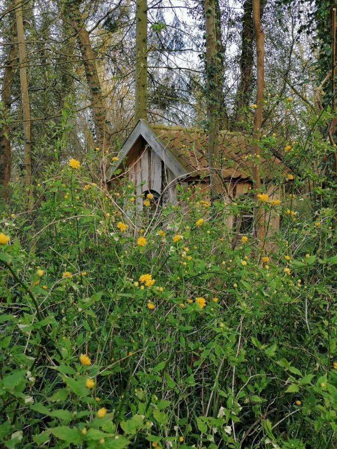 Ferienwohnung Ehemalige Revierfoersterei "Uns Luett" Kuhstorf Exterior foto