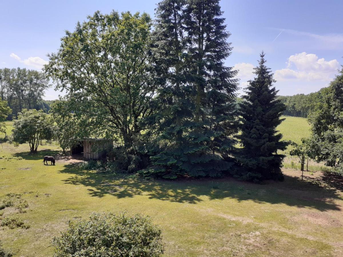 Ferienwohnung Ehemalige Revierfoersterei "Uns Luett" Kuhstorf Exterior foto