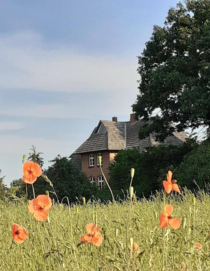 Ferienwohnung Ehemalige Revierfoersterei "Uns Luett" Kuhstorf Exterior foto