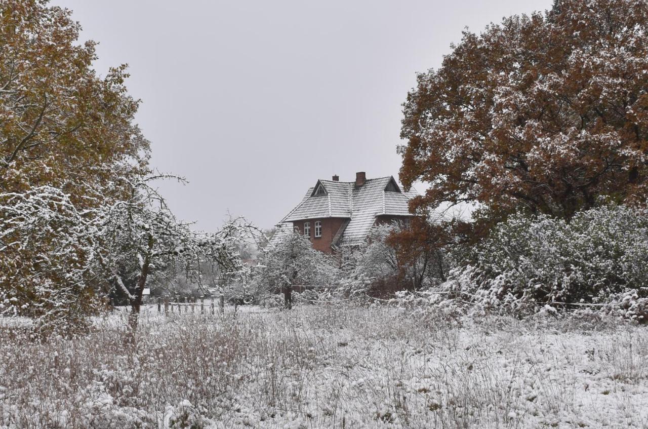 Ferienwohnung Ehemalige Revierfoersterei "Uns Luett" Kuhstorf Exterior foto